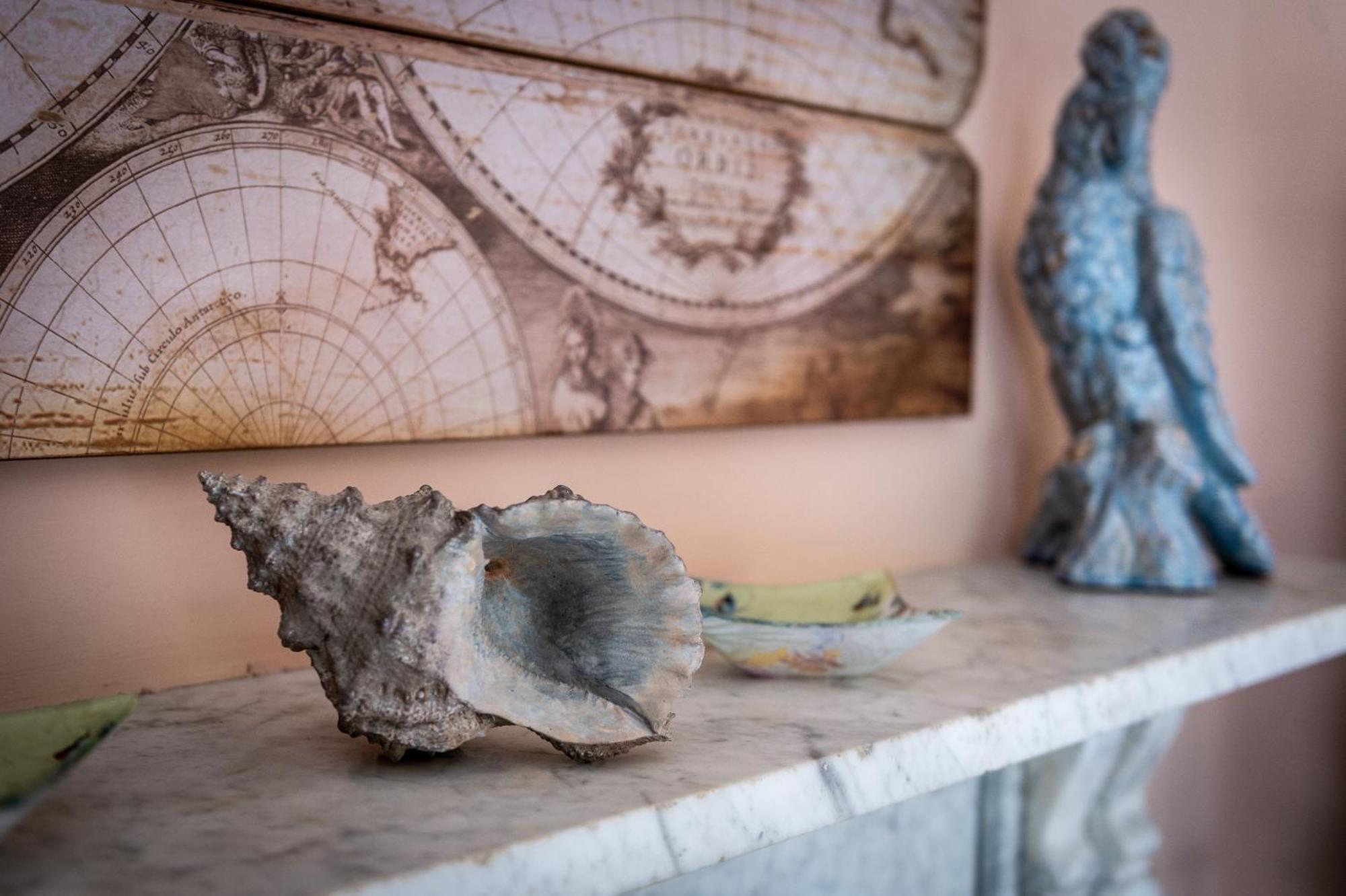 Bed and Breakfast Darwin'S Townhouse Shrewsbury Habitación foto A conch shell